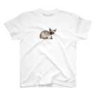 仔猫のぽんちゃんをお助けshop (子猫、ねこ、シャム猫、保護猫、ハチワレ、グレー猫)のぽんちゃんお助け隊No4 子猫 シャム猫 ねこ Regular Fit T-Shirt