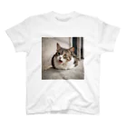 猫ちゃんショップの猫ちゃん スタンダードTシャツ