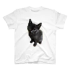 ねこねこねこねこのくーちゃん Regular Fit T-Shirt