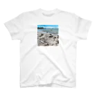 So湖いらの「PHOTO」BIWAKO is again to be clean.スタンダードTシャツ スタンダードTシャツ