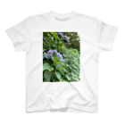 リングロングの紫陽花の絵　Tシャツ Regular Fit T-Shirt