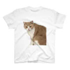 Mashlyのマシロくん猫グッズ Regular Fit T-Shirt