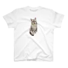 うちの猫ちゃんたちの数少ない美男子とらと Regular Fit T-Shirt