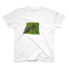 komorebi-9の草原の猫 Regular Fit T-Shirt