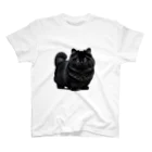 しょっぷトミィの黒猫 Regular Fit T-Shirt