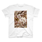 koikoi shop@suzuri店のおもいでのなかの桜 スタンダードTシャツ