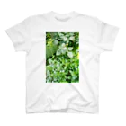 capture hidamariのplant capturing 1  Regular Fit T-Shirt