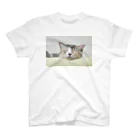 ひのはらくみの子猫の寝顔 スタンダードTシャツ