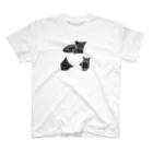 うちの猫ちゃんたちのるうなトライアングル♻️_No.1 Regular Fit T-Shirt