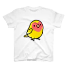 Cody the Lovebirdの【両面】Chubby Bird（背面）ラブバード大集合　（コザクラインコ＆ボタンインコ）（表）コザクラインコ　ルチノー　 Regular Fit T-Shirt