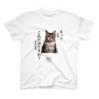 catnip factoryの不満顔の猫 Regular Fit T-Shirt