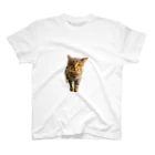 猫島のじかんのごめ～んにゃさい スタンダードTシャツ