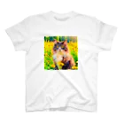 猫好きの谷の猫の水彩画/花畑のノルウェージャンフォレストキャットねこのイラスト スタンダードTシャツ