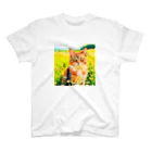 猫好きの谷の猫の水彩画/花畑のマンクスねこのイラスト/キジトラネコ スタンダードTシャツ