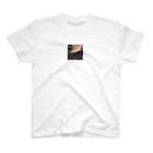 chachamaaruの夕陽が山々にそそぐ美しい光 Regular Fit T-Shirt