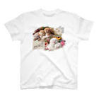 Neneko ❧  夢幻【むげん】の添い寝仔猫 スタンダードTシャツ