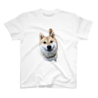 つくしミッフィーあかりのお店の柴犬あかり スタンダードTシャツ