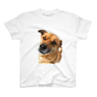 OSAKA NEIGHBORの雑種犬こたろうくん Regular Fit T-Shirt