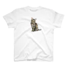 ayatoraのサビ猫はいいぞ Regular Fit T-Shirt