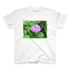 made32kurimuの健気に咲き乱れる紫陽花 スタンダードTシャツ