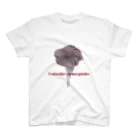 I love mushroom🍄の見つけたら食べちゃうシリーズ no.13  クロラッパタケ スタンダードTシャツ