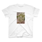 suikinleiのレモンマートルの花 Regular Fit T-Shirt