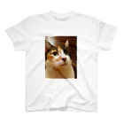 下山Ｄ介のRan 耳をすませば ネコ Regular Fit T-Shirt