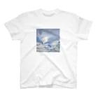 sasatasoの16時08分の空 スタンダードTシャツ