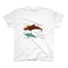 Kinkadesign うみのいきものカワイイShopのイルカとクジラの大きさ Regular Fit T-Shirt