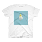 オカメインコおいしいよ。のOKM スタンダードTシャツ