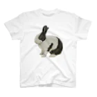 🐇のんくく🐇(❤️くろえ君❤️)のパンダうさぎ スタンダードTシャツ