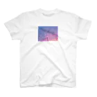 AKAHANeのQuiero verte photoT-shirt  空 スタンダードTシャツ