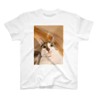 carlosのOMG my Cat Regular Fit T-Shirt