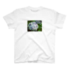 okaの紫陽花 Regular Fit T-Shirt