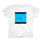 karutasweet_shashinの飛行機 スタンダードTシャツ