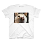 チームらんまるくん🐶の鼻でからんまるくん Regular Fit T-Shirt