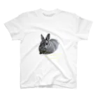 momo_pigのルルちゃん　Tシャツ Regular Fit T-Shirt