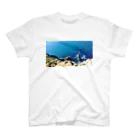 淡海のteuru Regular Fit T-Shirt