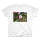 fun timeのPale pink camelia blooming　カメリア スタンダードTシャツ