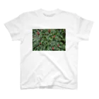 とみたの植物 スタンダードTシャツ