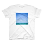 AlohaSolのAlohaSol Original Photo スタンダードTシャツ