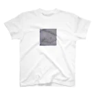 貯金のケーキ Regular Fit T-Shirt