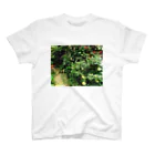 ひょうたん翠の小庭のまるみサン スタンダードTシャツ