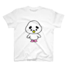 ぽっぽーちゃんのぽっぽーちゃん１ スタンダードTシャツ