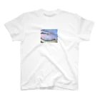 skynailsのskyさん作！琵琶湖いえあ スタンダードTシャツ