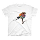 自分が着たいと思うTシャツを作るのカラフルな鳥さん Tシャツ Regular Fit T-Shirt