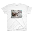 rikkyo_lgbtnizaのねこ Regular Fit T-Shirt