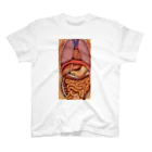 Liarのmodel of the human body  スタンダードTシャツ