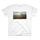 何気ない日常に小さな幸せの夕涼み スタンダードTシャツ