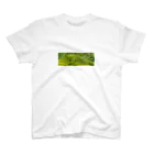 植物さんの苔 (コケ) Regular Fit T-Shirt